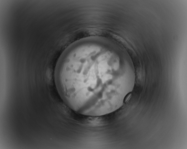 X0000092110667200710031231