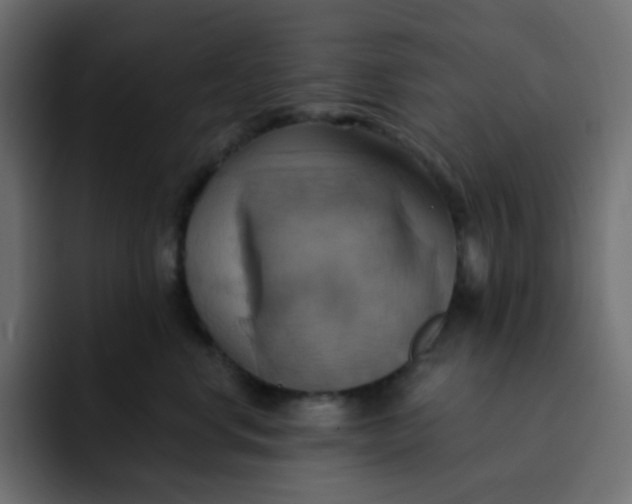 X0000092110668200710031231