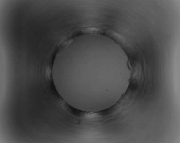 X0000092110669200710031231