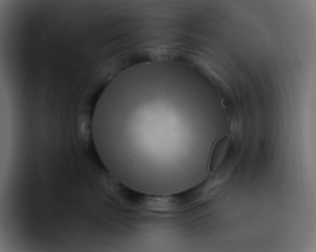 X0000092110671200710031232