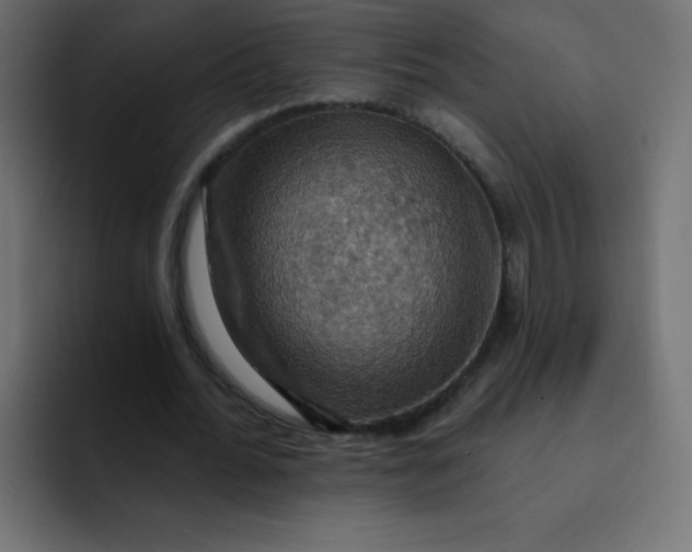 X0000092110676200710031231