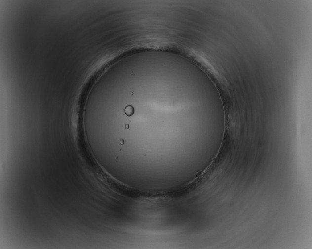 X0000092110679200710031231