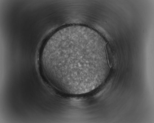 X0000092110680200710031231