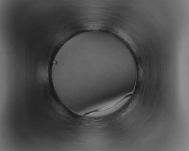 X0000092110681200710031231