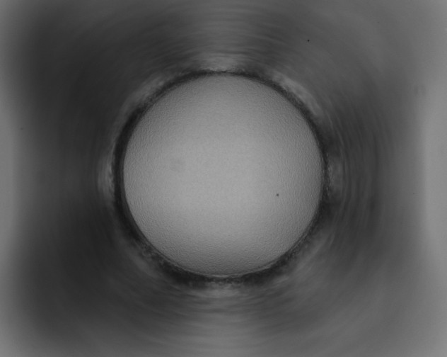 X0000092110682200710031231