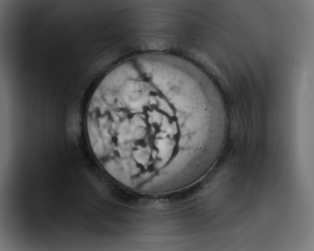 X0000092110683200710031231