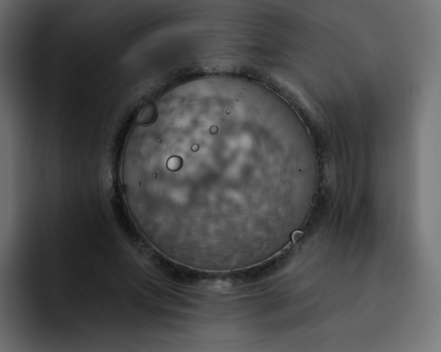 X0000092110687200710031231