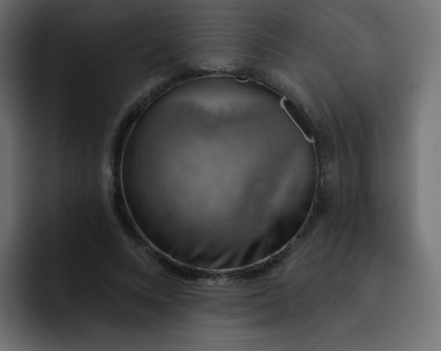 X0000092110688200710031231