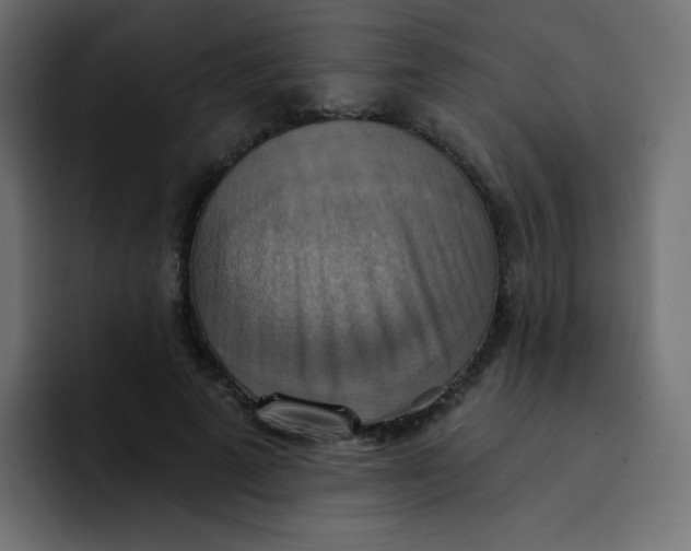 X0000092110689200710031231