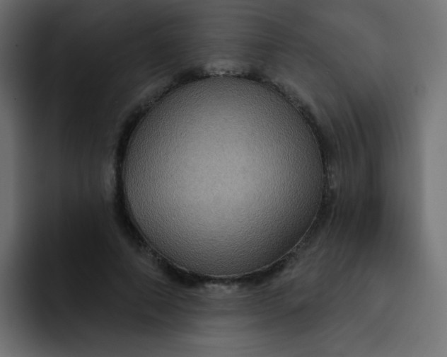 X0000092110690200710031231