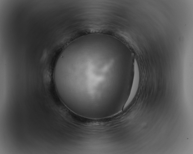 X0000092110691200710031231