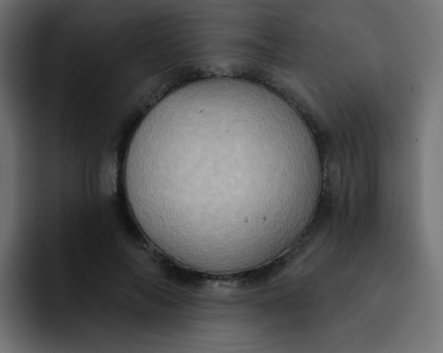 X0000092110694200710031231