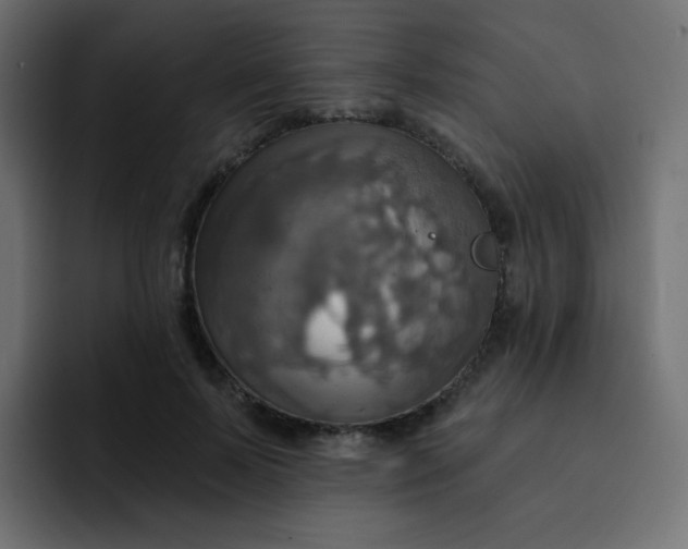 X0000092110695200710031231