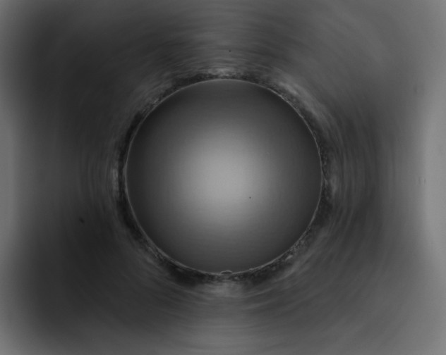 X0000092110696200710031231