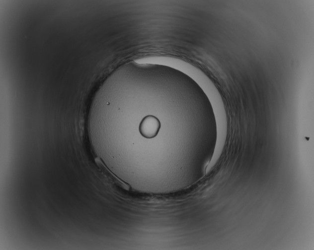 X0000092110697200710031231