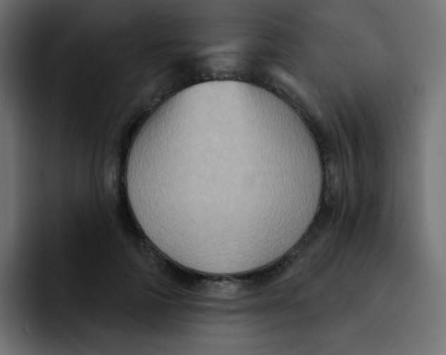 X0000092110698200710031231