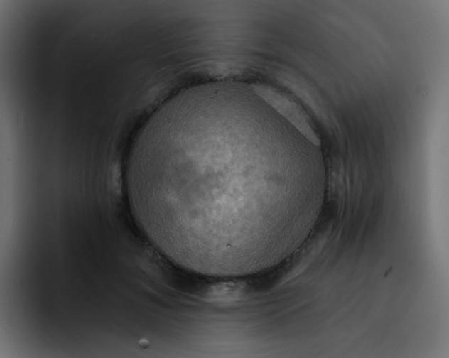 X0000092110700200710031231