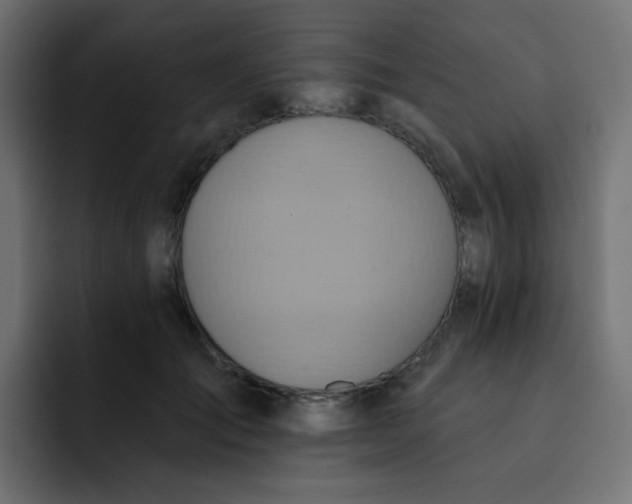 X0000092110701200710031231