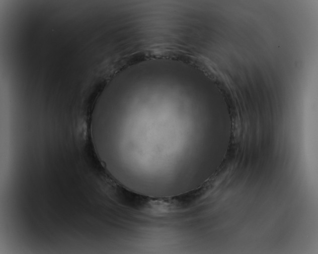 X0000092110703200710031231