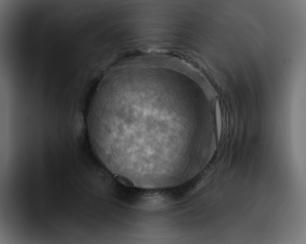 X0000092110704200710031231