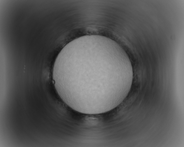 X0000092110706200710031231