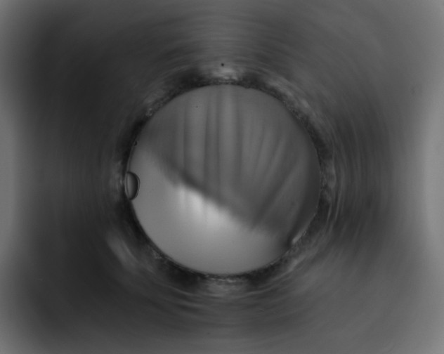 X0000092110707200710031231