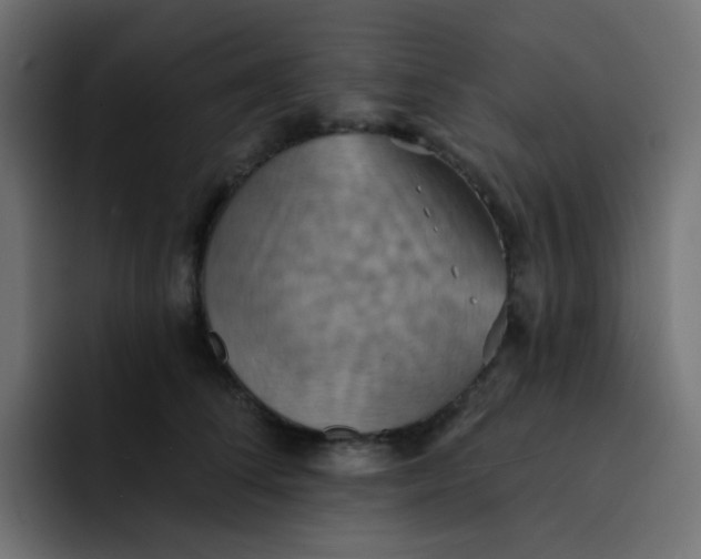 X0000092110708200710031231