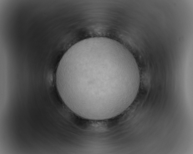 X0000092110709200710031231