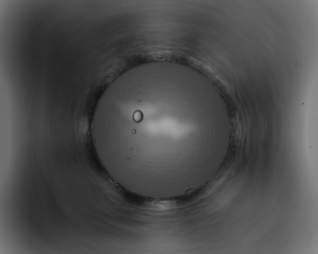 X0000092110711200710031231