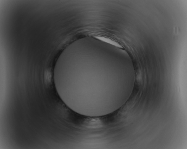 X0000092110715200710031230