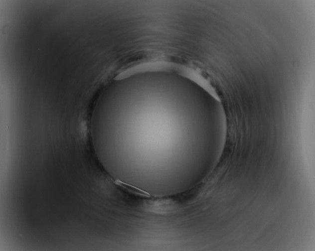 X0000092110716200710031230