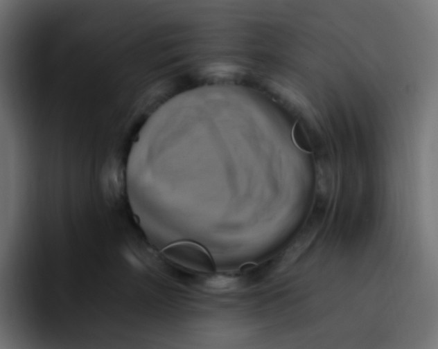 X0000092110718200710031230