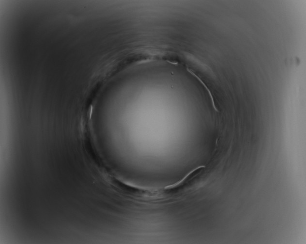 X0000092110720200710031230