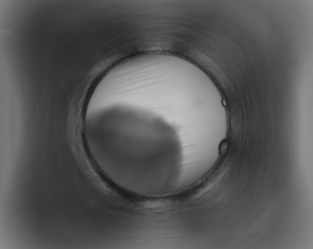 X0000092110721200710031230