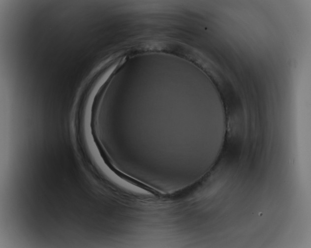 X0000092110722200710031230