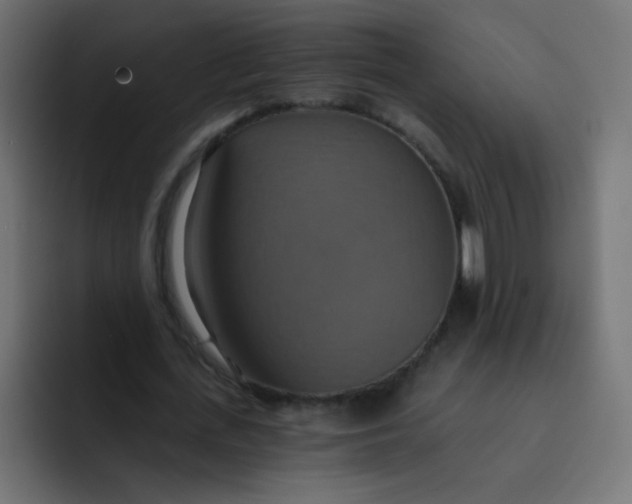 X0000092110723200710031230