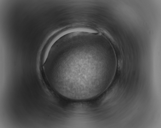 X0000092110724200710031230