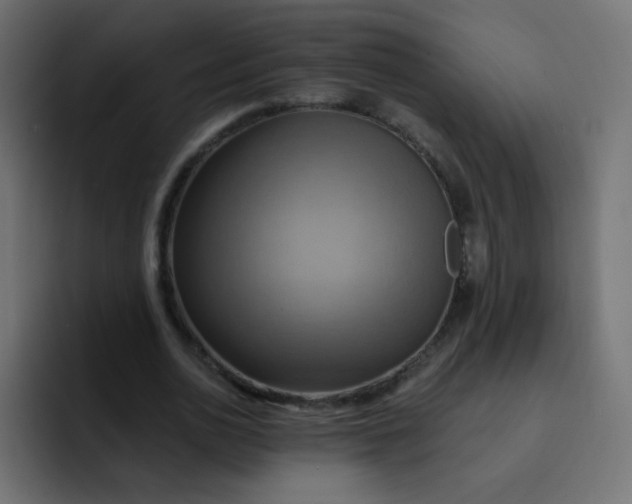 X0000092110726200710031230