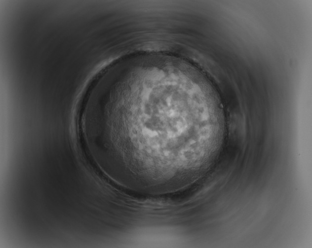 X0000092110727200710031230