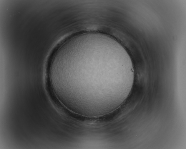 X0000092110728200710031230