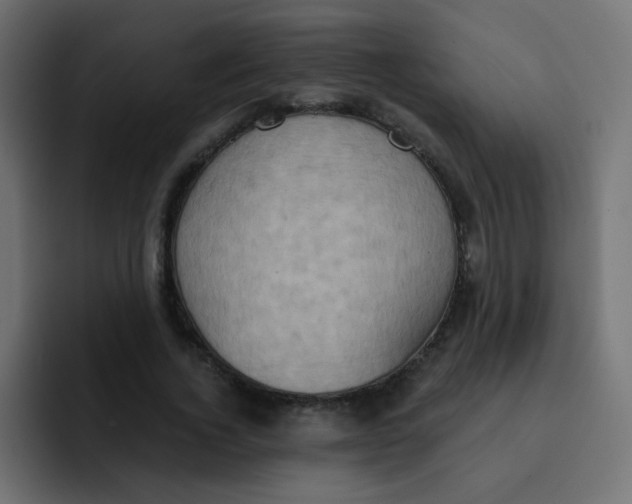 X0000092110732200710031230