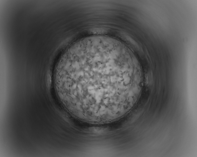 X0000092110733200710031230