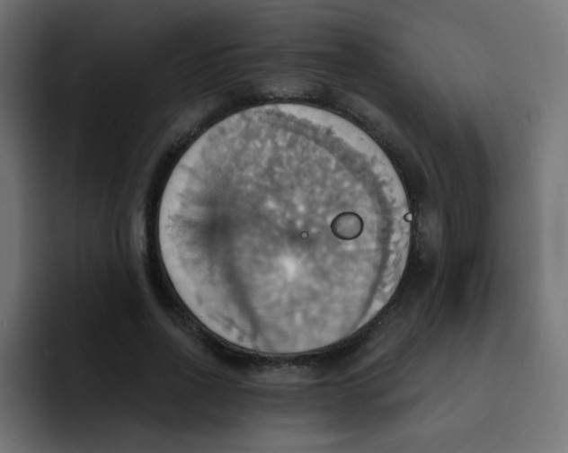 X0000092110734200710031230