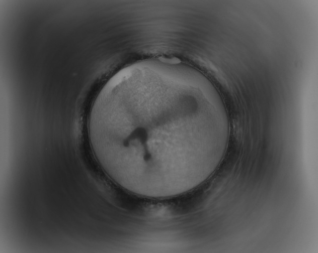 X0000092110735200710031230