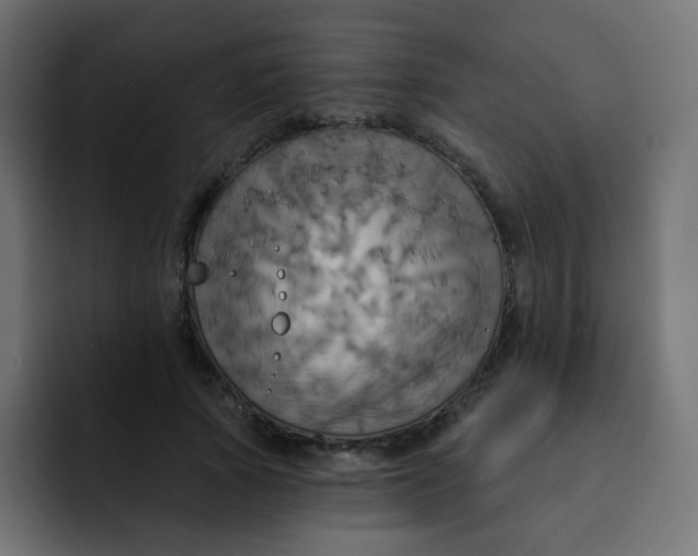 X0000092110737200710031230