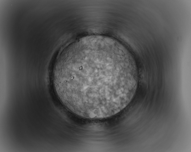 X0000092110738200710031230