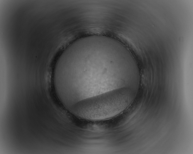 X0000092110739200710031230