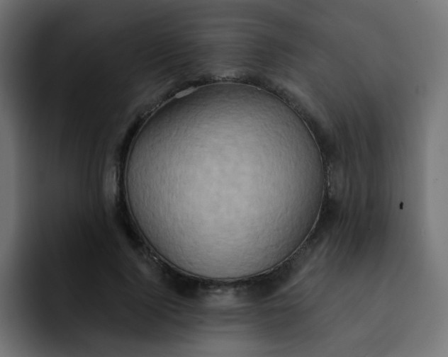 X0000092110740200710031230