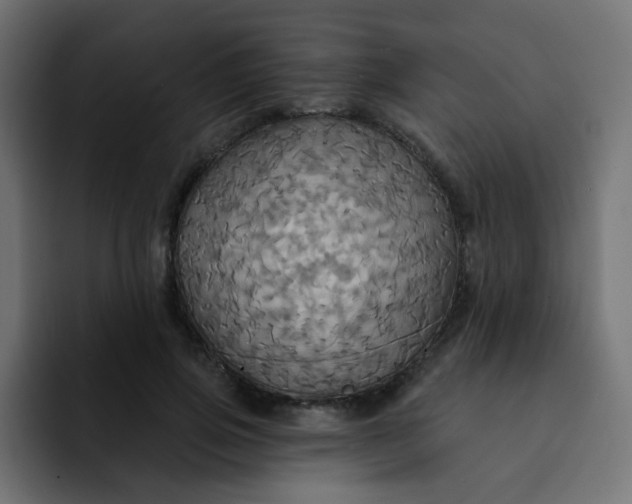 X0000092110741200710031230