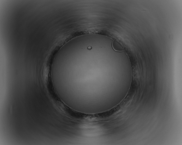 X0000092110742200710031230